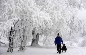 雪花飘飘