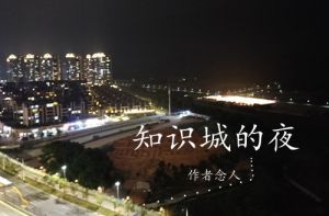 知识城的夜