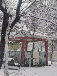 雪落庭院