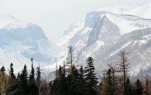 长白山           摄影：扬眉