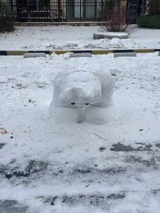 开轩雪满园，白茫茫一片。