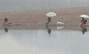 永安溪赵岙段