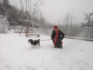 青岛李沧区老虎山大雪