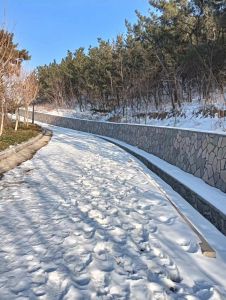 雪晴云淡日光寒