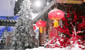 雪打灯