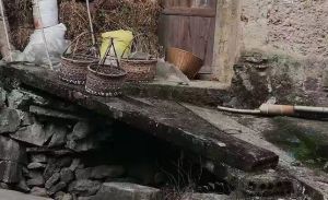 坑里猪舍升屋后邻居免费用正面 坑里猪舍升屋后邻居免费用正面