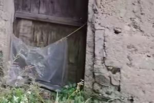 后面 后面