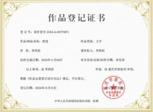 作品登记证书 作品登记证书
