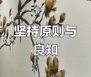 原则 原则