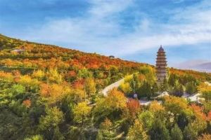 桃花山美景 桃花山美景