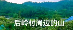 后岭村边山 后岭村边山
