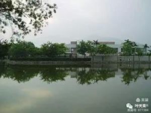 鹧鸪天.灰霾天 鹧鸪天.灰霾天
