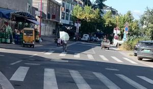 步路村 步路村
