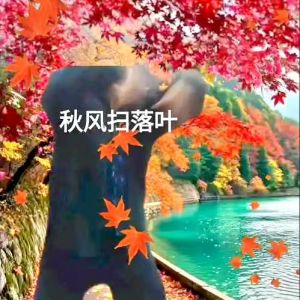 秋风掀起鳞片