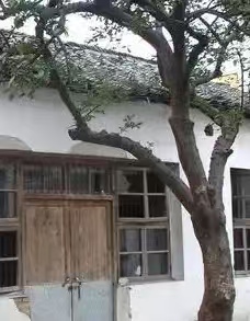 校四合院边西北角食堂 校四合院边西北角食堂