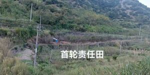 责任田 责任田