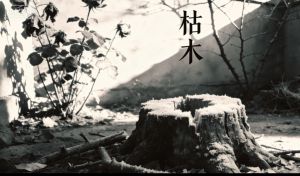 枯木