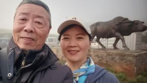 雕像牛合影留念