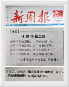 湖北《新周报》 湖北《新周报》