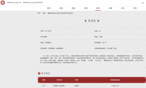 中国非物质文化遗产网·中国非物质文化遗产数字博物馆 中国非物质文化遗产网·中国非物质文化遗产数字博物馆