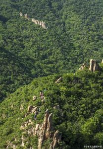 山东原始林始原东山 山东原始林始原东山