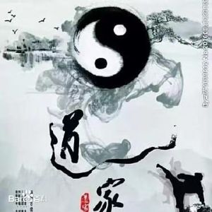 叶天来:言中导语道宗言 叶天来:言中导语道宗言
