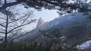崂山仰口天苑