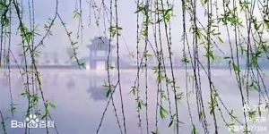 烟锁池塘柳,金燎澳地楼 烟锁池塘柳,金燎澳地楼