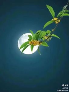 夜 思 夜 思