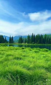 和风柔麦地,年年春暖叶天来 和风柔麦地,年年春暖叶天来