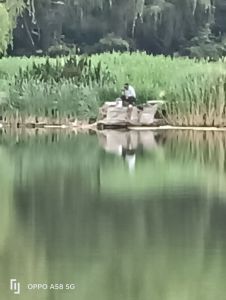 晨光湖畔