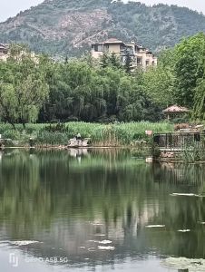 晨光湖畔
