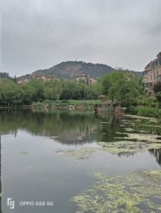 晨光湖畔
