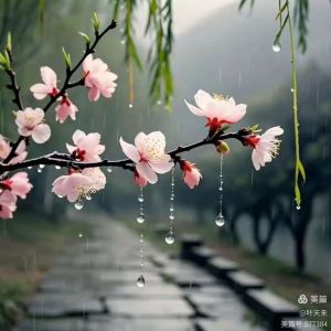 沾衣欲湿杏花雨,吹面不寒杨柳风。 沾衣欲湿杏花雨,吹面不寒杨柳风。