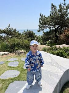 稚子三岁无语,难得今日终开口 稚子三岁无语,难得今日终开口