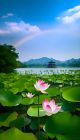 西湖
