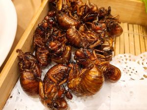 儿时美味 儿时美味