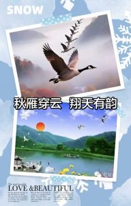 秋雁穿云,翔天有韵 秋雁穿云,翔天有韵