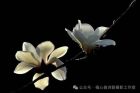 玉兰花图