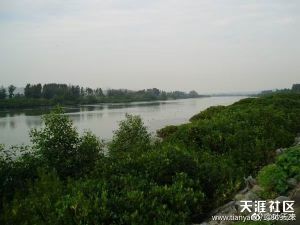 流入后海湾(深圳湾)之锦田河 流入后海湾(深圳湾)之锦田河