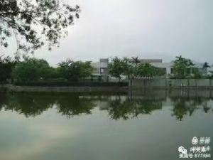 拍于灰霾天的香港锦绣花园 拍于灰霾天的香港锦绣花园